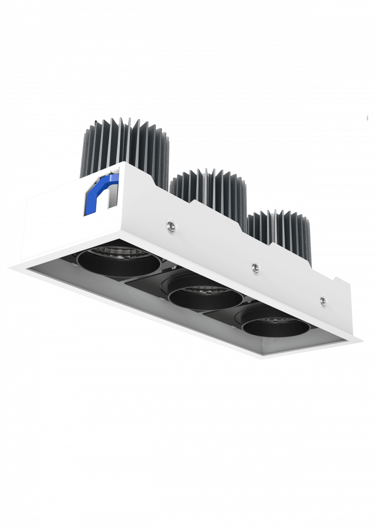 Recessed multiple downlight