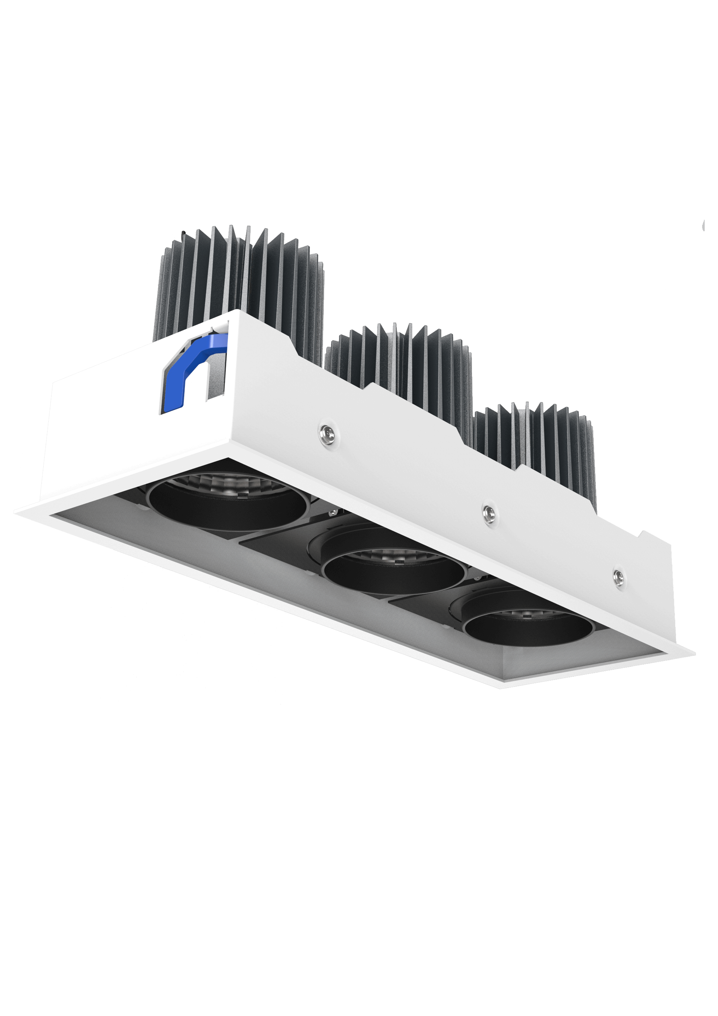 Recessed multiple downlight