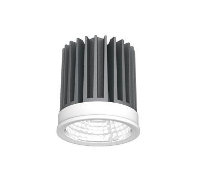 Cob light 30 watt price